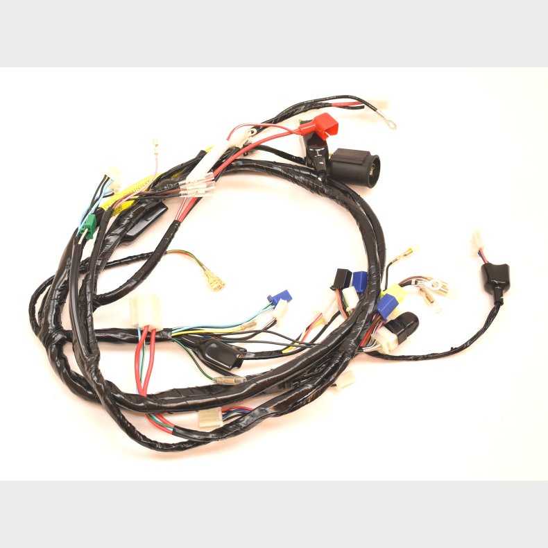 WIRE HARNESS Dr. Big 50       