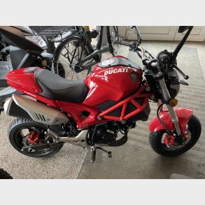 Little Monster EU5  30 km/t 