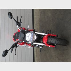 Little Monster EU5  30 km/t 