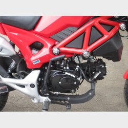 Little Monster EU5  30 km/t 