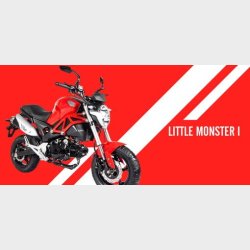 Little Monster EU5  30 km/t 